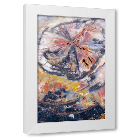 Arizona, Petrified Forest Petrified wood detail White Modern Wood Framed Art Print by Delisle, Gilles