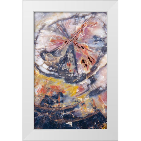 Arizona, Petrified Forest Petrified wood detail White Modern Wood Framed Art Print by Delisle, Gilles