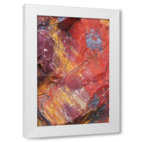 Arizona, Petrified Forest Petrified wood detail White Modern Wood Framed Art Print by Delisle, Gilles