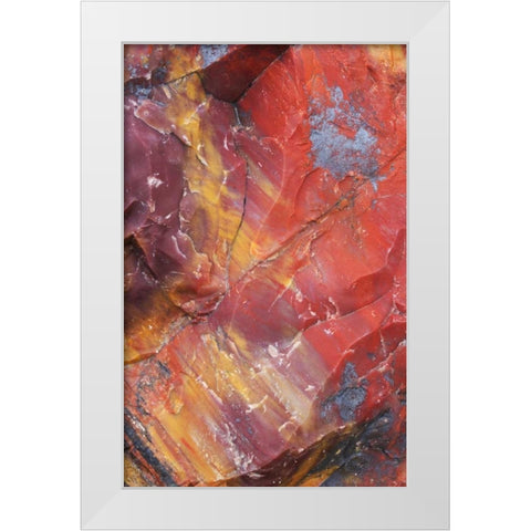 Arizona, Petrified Forest Petrified wood detail White Modern Wood Framed Art Print by Delisle, Gilles