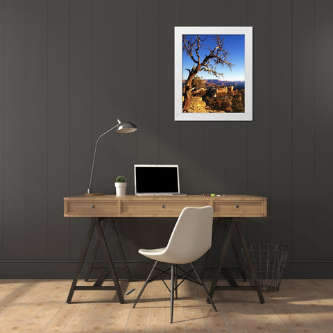 Arizona-Grand Canyon National Park South Rim of canyon  White Modern Wood Framed Art Print by Jaynes Gallery