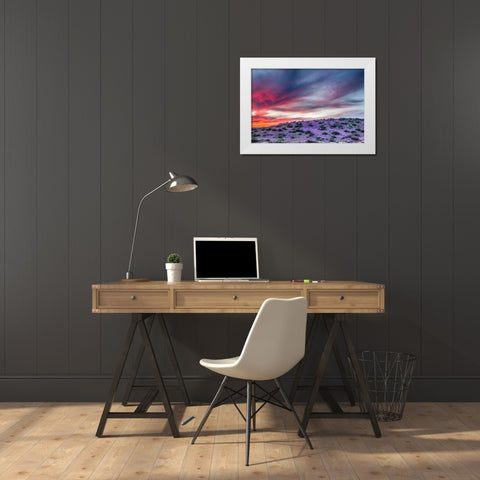 Arizona-Globe-Round Mountain Park-Sunset on desert super bloom White Modern Wood Framed Art Print by Jaynes Gallery