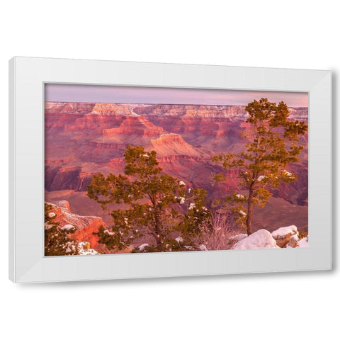 Arizona-Grand Canyon National Park Sunrise on Mather Point White Modern Wood Framed Art Print by Jaynes Gallery