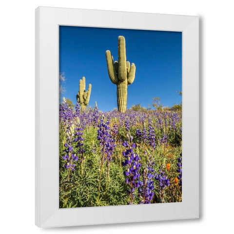 Arizona-Peridot Mesa Saguaro cactus and lupine flowers White Modern Wood Framed Art Print by Jaynes Gallery