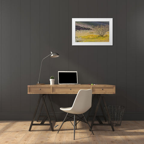 Arizona Wildflowers in field  White Modern Wood Framed Art Print by Jaynes Gallery