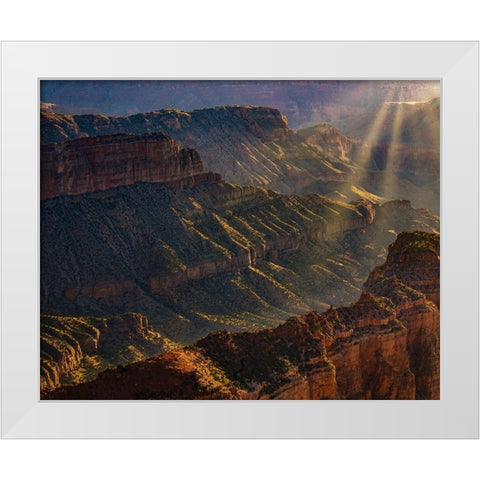 Arizona-Grand Canyon National Park North Rim of Grand Canyon at sunrise  White Modern Wood Framed Art Print by Jaynes Gallery