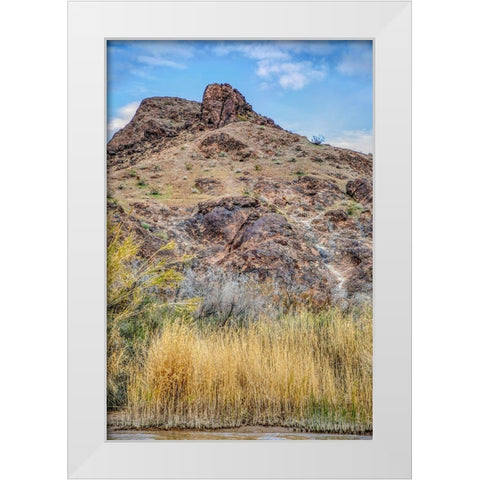 Arizona Ancient petroglyphs on rocks  White Modern Wood Framed Art Print by Jaynes Gallery