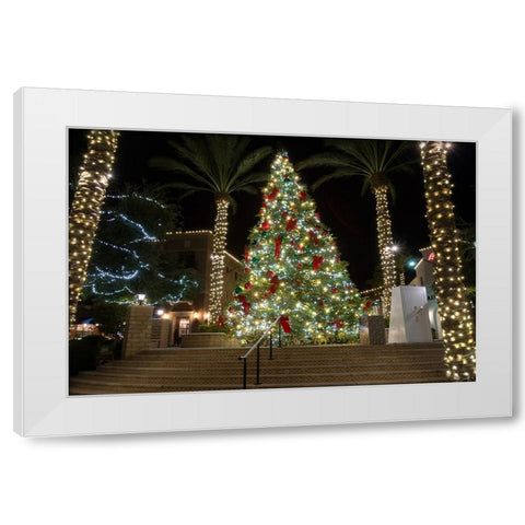 USA-Arizona-Buckeye-Christmas tree in the village square at night White Modern Wood Framed Art Print by Jaynes Gallery