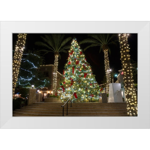 USA-Arizona-Buckeye-Christmas tree in the village square at night White Modern Wood Framed Art Print by Jaynes Gallery