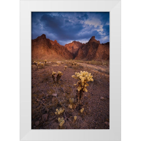 USA-Arizona-Kofa National Wildlife Area-Mountain and desert landscape White Modern Wood Framed Art Print by Jaynes Gallery