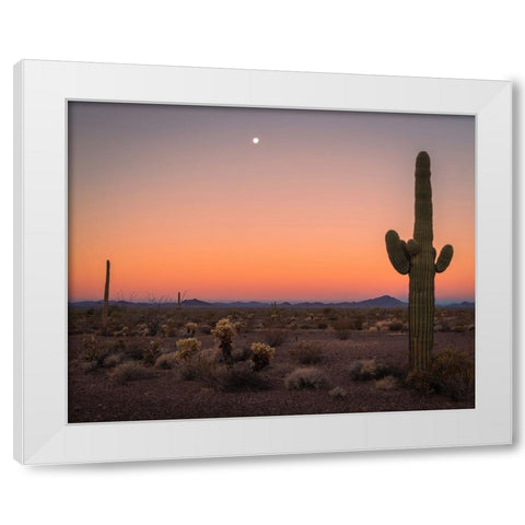 USA-Arizona-Kofa National Wildlife Area-Mountain and desert landscape at sunset White Modern Wood Framed Art Print by Jaynes Gallery