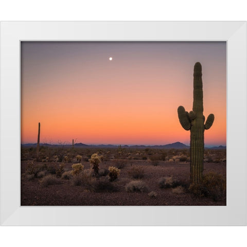 USA-Arizona-Kofa National Wildlife Area-Mountain and desert landscape at sunset White Modern Wood Framed Art Print by Jaynes Gallery
