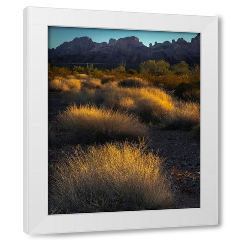 USA-Arizona-Kofa National Wildlife Area-Mountain and desert landscape at sunrise White Modern Wood Framed Art Print by Jaynes Gallery