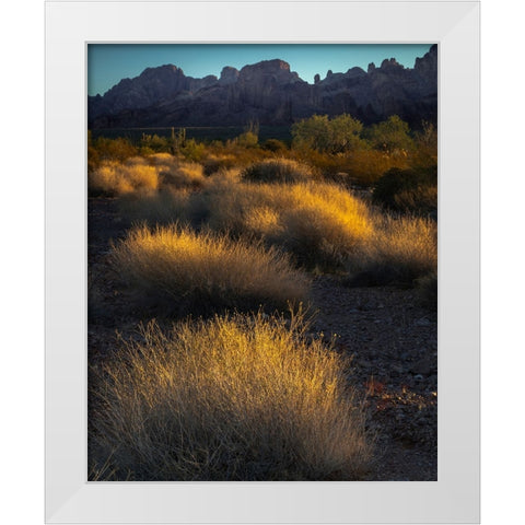 USA-Arizona-Kofa National Wildlife Area-Mountain and desert landscape at sunrise White Modern Wood Framed Art Print by Jaynes Gallery