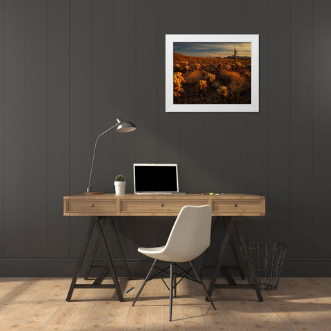 USA-Arizona-Kofa National Wildlife Area-Mountain and desert landscape at sunrise White Modern Wood Framed Art Print by Jaynes Gallery