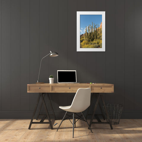 Arizona A landscape of Organ pipe cactus and blooming Brittlebush in Organ Pipe National Monument White Modern Wood Framed Art Print by Tharp, Brenda