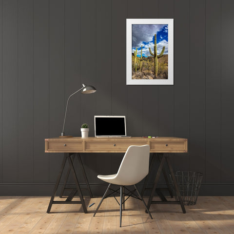 Saguaro Cactus in the Santa Catalina Mountains in Coronado National Forest in Tucson-Arizona-USA White Modern Wood Framed Art Print by Haney, Chuck