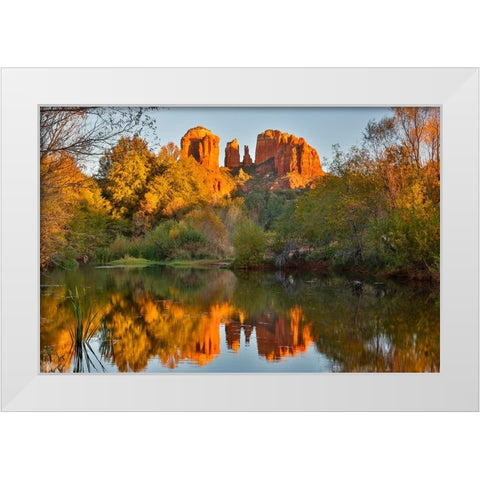 USA- Arizona. Red Rock State Park with Oak Creek and Cathedral Rock White Modern Wood Framed Art Print by Gulin, Darrell