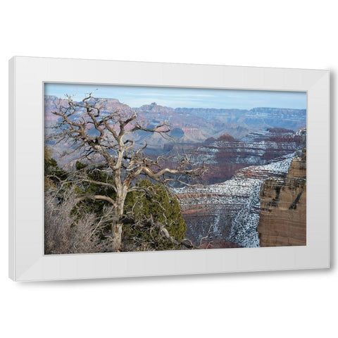 Powell Point-Grand Canyon National Park-Arizona-USA White Modern Wood Framed Art Print by Reynolds, Gerry