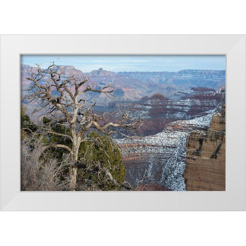 Powell Point-Grand Canyon National Park-Arizona-USA White Modern Wood Framed Art Print by Reynolds, Gerry