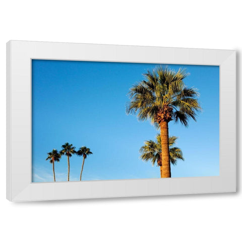 Palm trees-Carefree-Arizona White Modern Wood Framed Art Print by McRoberts, Julien