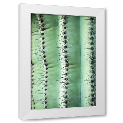 Desert cactus-Carefree-Arizona White Modern Wood Framed Art Print by McRoberts, Julien