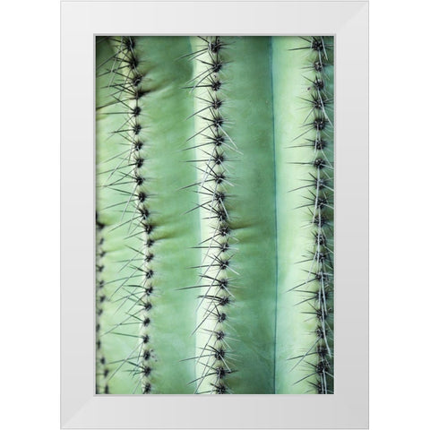 Desert cactus-Carefree-Arizona White Modern Wood Framed Art Print by McRoberts, Julien