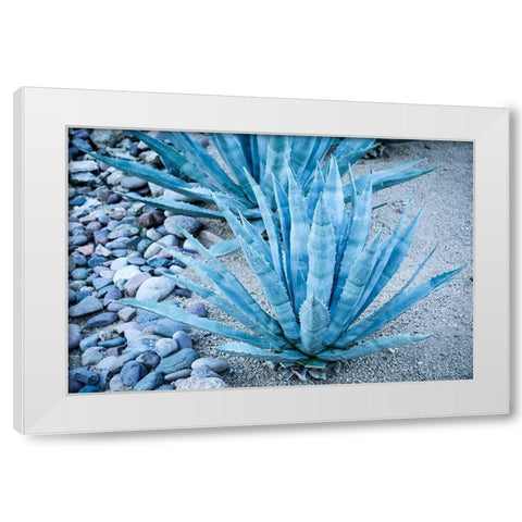 Desert cactus-Carefree-Arizona White Modern Wood Framed Art Print by McRoberts, Julien