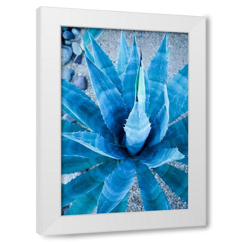 Desert cactus-Carefree-Arizona White Modern Wood Framed Art Print by McRoberts, Julien