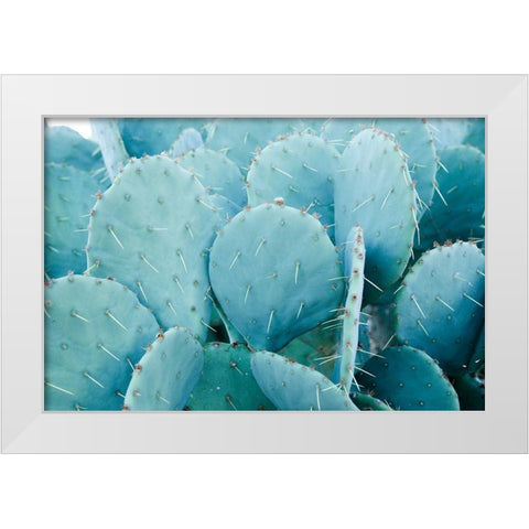 Desert cactus-Carefree-Arizona White Modern Wood Framed Art Print by McRoberts, Julien