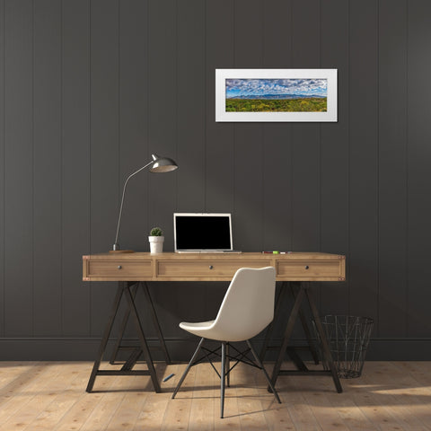 Arizona-Tucson-Saguaro National Park White Modern Wood Framed Art Print by Hawkins, Peter