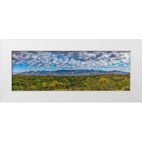 Arizona-Tucson-Saguaro National Park White Modern Wood Framed Art Print by Hawkins, Peter