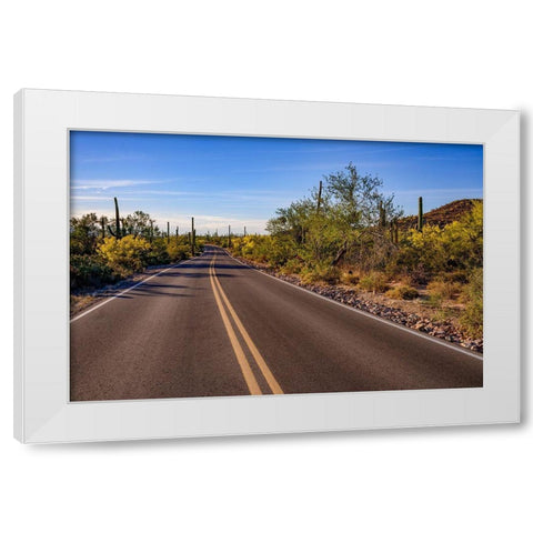 Arizona-Tucson-Saguaro National Park White Modern Wood Framed Art Print by Hawkins, Peter