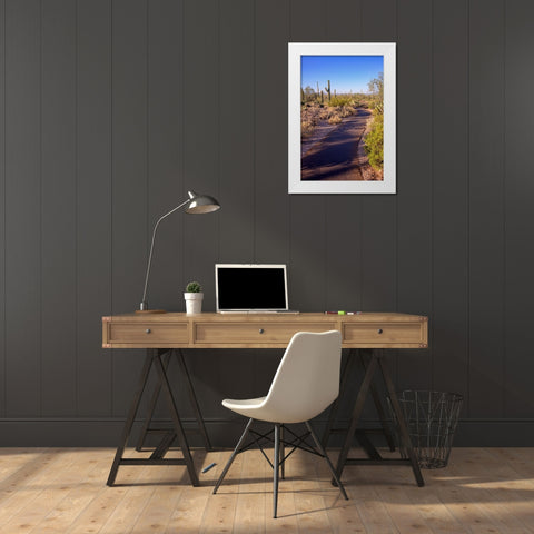 Arizona-Tucson-Saguaro National Park White Modern Wood Framed Art Print by Hawkins, Peter