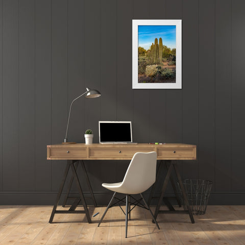 Arizona-Tucson Mountain Park White Modern Wood Framed Art Print by Hawkins, Peter