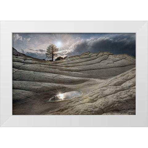 A pool reflects in folds of Brain Rock in white pockets in northern Arizona White Modern Wood Framed Art Print by SMO