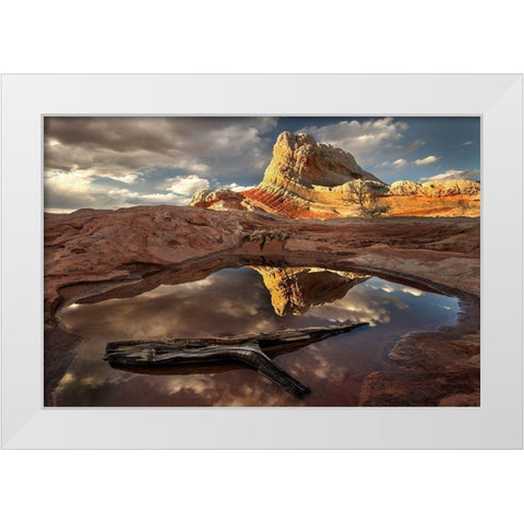 A log in a pool reflect white pockets area in northern Arizona White Modern Wood Framed Art Print by SMO