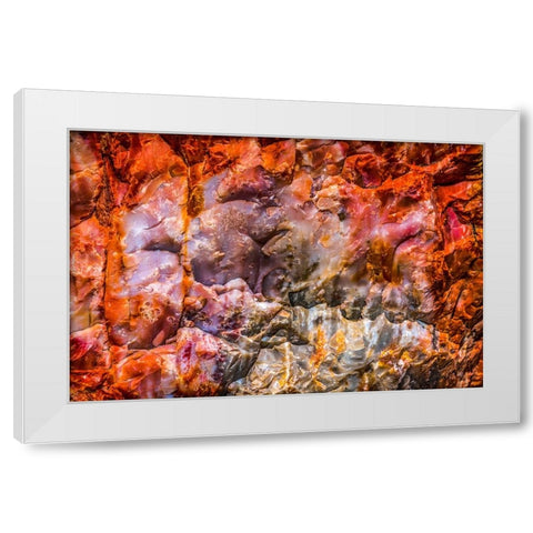 Red-orange and yellow petrified wood abstract-Blue Mesa-Petrified Forest National Park-Arizona White Modern Wood Framed Art Print by Perry, William