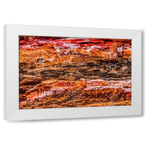 Red-orange and yellow petrified wood abstract-Blue Mesa-Petrified Forest National Park-Arizona White Modern Wood Framed Art Print by Perry, William