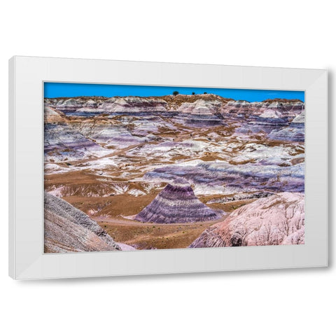 Hikers trail-Blue Mesa-Painted Desert-Petrified Forest National Park-Arizona White Modern Wood Framed Art Print by Perry, William