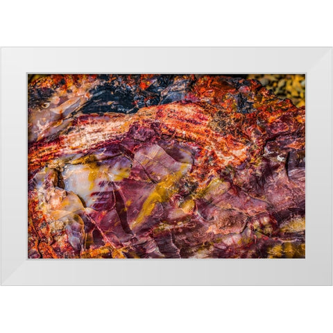 Red-blue-orange petrified wood-Visitor Center-Petrified Forest National Park-Arizona White Modern Wood Framed Art Print by Perry, William