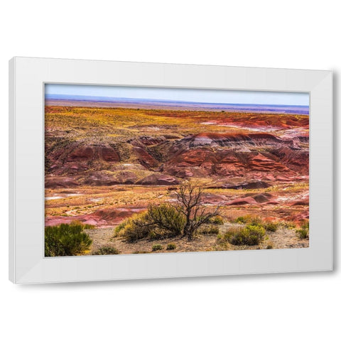 Tawa Point-Painted Desert-Petrified Forest National Park-Arizona White Modern Wood Framed Art Print by Perry, William