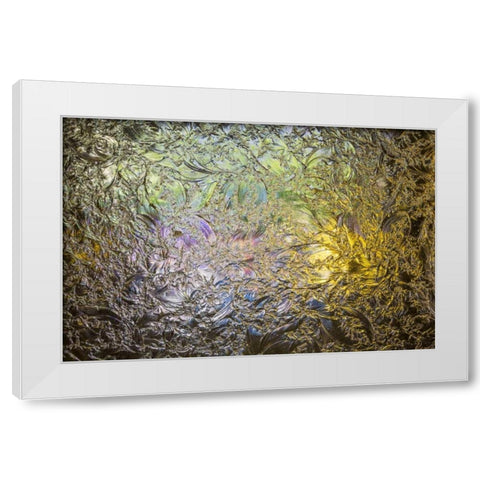 Arkansas, Hot Springs Fordyce Bath House White Modern Wood Framed Art Print by Paulson, Don