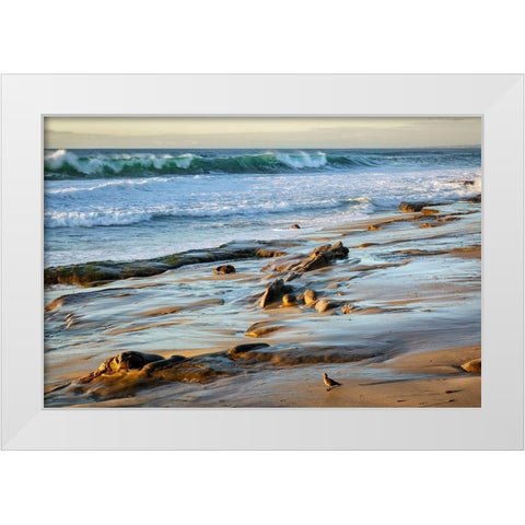 California-La Jolla-Surf breaking off Coast Blvd Park White Modern Wood Framed Art Print by Collins, Ann