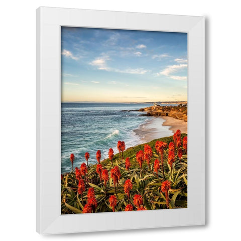 USA-California-La Jolla Blooming aloe and Wipeout Beach White Modern Wood Framed Art Print by Collins, Ann