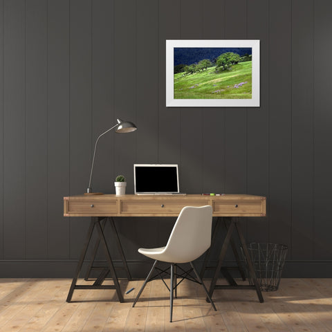 Grasses and trees-Dolason Prairie just off Bald Hills Road-California White Modern Wood Framed Art Print by Jones, Adam