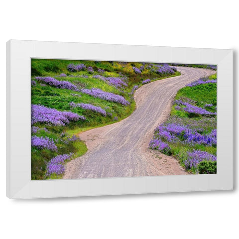 Bald Hills Road through lupine flowers-California White Modern Wood Framed Art Print by Jones, Adam