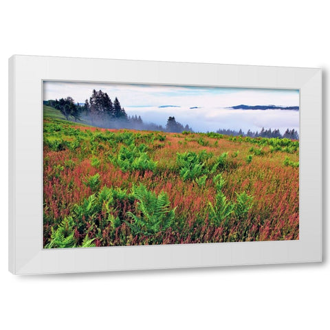 Foggy view of grasses and ferns-Dolason Prairie White Modern Wood Framed Art Print by Jones, Adam
