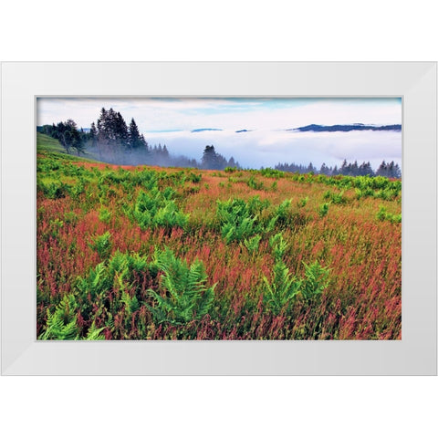 Foggy view of grasses and ferns-Dolason Prairie White Modern Wood Framed Art Print by Jones, Adam