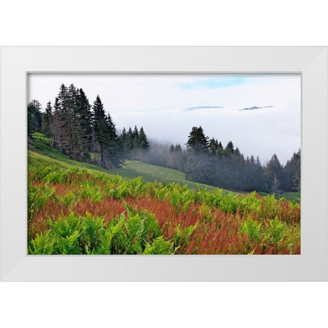 Foggy view of grasses and ferns-Dolason Prairie White Modern Wood Framed Art Print by Jones, Adam